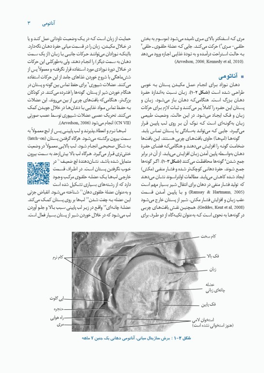 حمایت از مهارت‌های مکیدن شیرخوار در تغذیه با شیر مادر