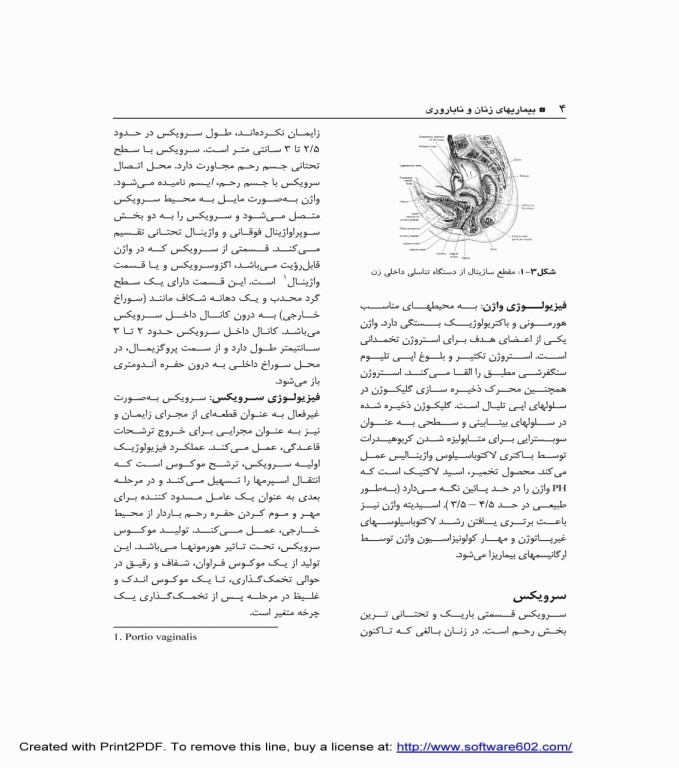 بیماری‌های زنان و ناباروری دکتر سیما نظرپور