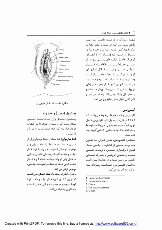 بیماری‌های زنان و ناباروری دکتر سیما نظرپور