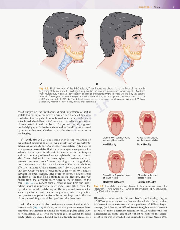 Rosens Emergency Medicine 2018 | طب اورژانس