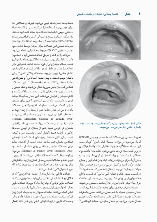حمایت از مهارت‌های مکیدن شیرخوار در تغذیه با شیر مادر