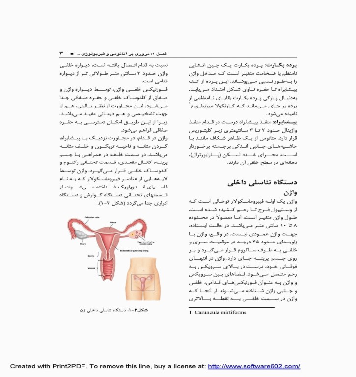 بیماری‌های زنان و ناباروری دکتر سیما نظرپور