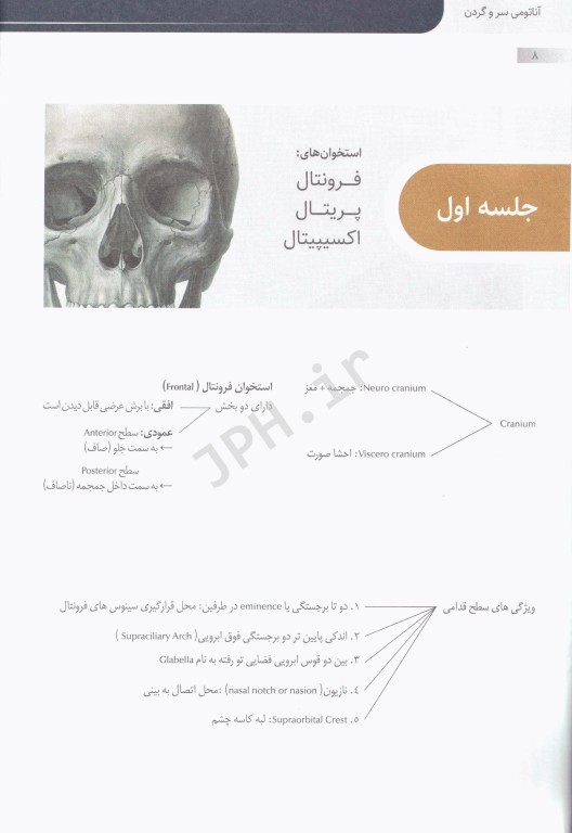 آناتومی سر و گردن دکتر عباس مجدی