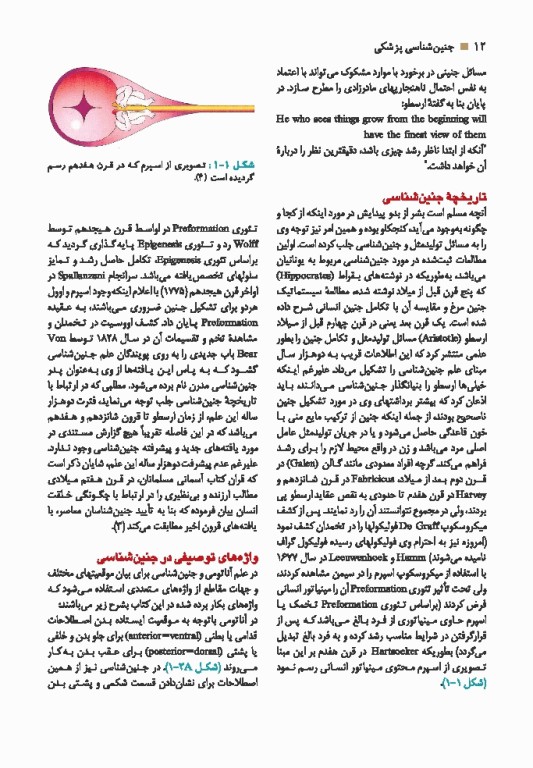 جنین شناسی پزشکی دکتر سلیمانی راد چاپ رنگی