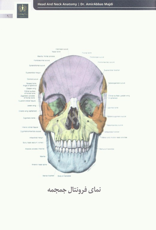 آناتومی سر و گردن دکتر عباس مجدی