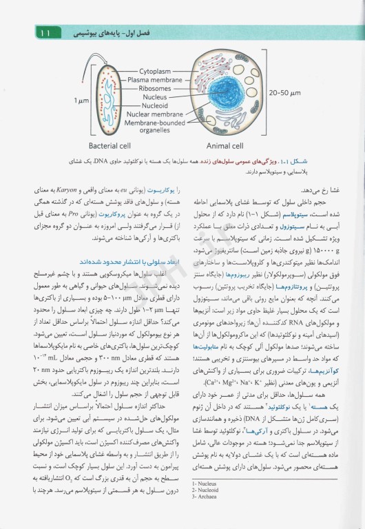 اصول بیوشیمی لنینجر 2021 دکتر جعفرنژاد جلد اول