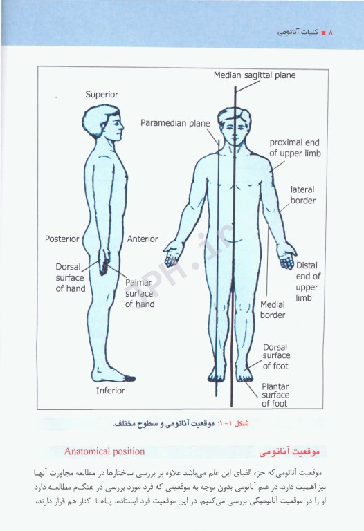 کلیات آناتومی مهدی زاده (آناتومی عمومی + آزمون)