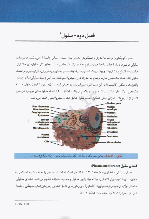 مبانی بافت‌شناسی دکتر حسن‌زاده