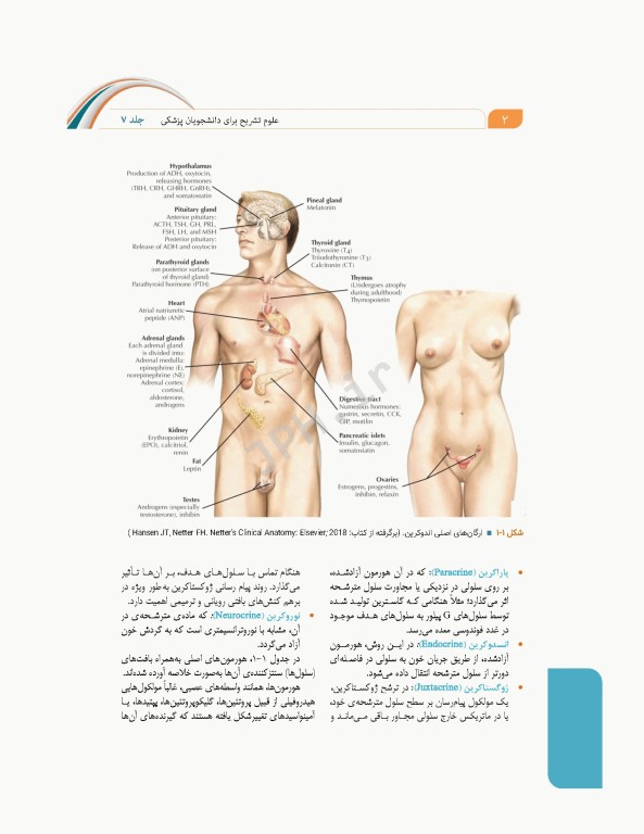 علوم تشریح برای دانشجویان پزشکی جلد7 غدد درون‌ریز