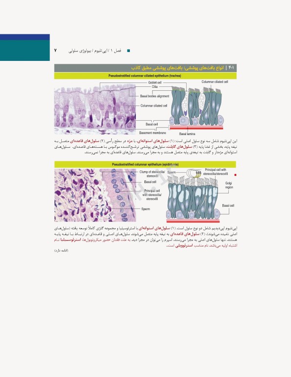 بافت‌شناسی و بیولوژی سلولی آبراهام 2020 مقدمه‌ای بر پاتولوژی جلد1