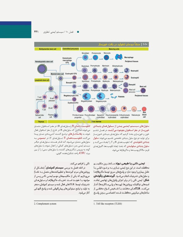 بافت‌شناسی و بیولوژی سلولی آبراهام 2020 مقدمه‌ای بر پاتولوژی جلد2