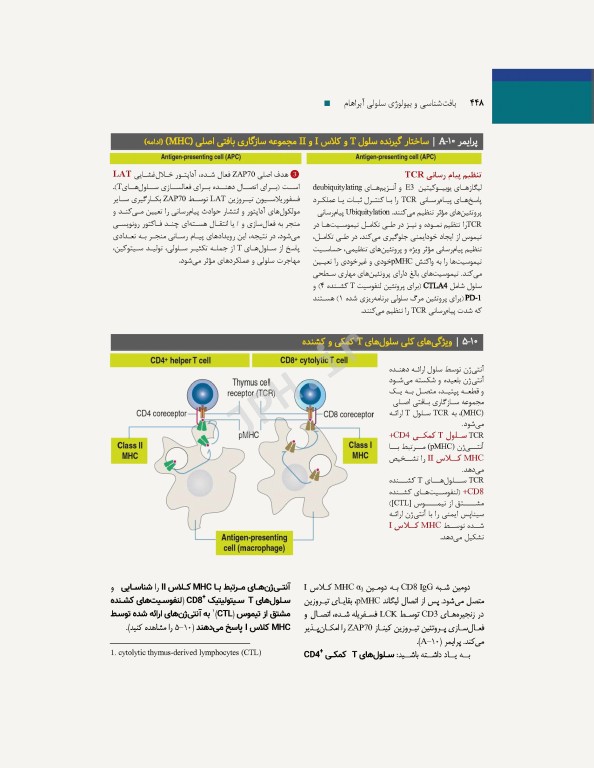 بافت‌شناسی و بیولوژی سلولی آبراهام 2020 مقدمه‌ای بر پاتولوژی جلد2