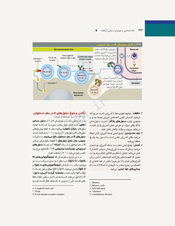 بافت‌شناسی و بیولوژی سلولی آبراهام 2020 مقدمه‌ای بر پاتولوژی جلد2