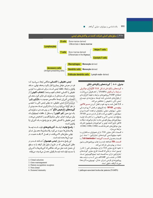 بافت‌شناسی و بیولوژی سلولی آبراهام 2020 مقدمه‌ای بر پاتولوژی جلد2