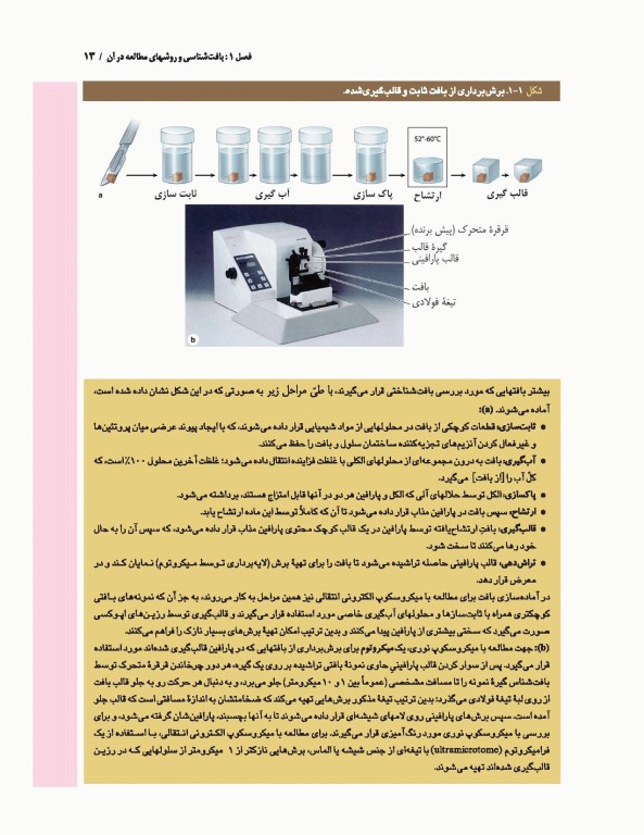 بافت‌شناسی پایه جان کوئیرا آنتونی مشر 2021