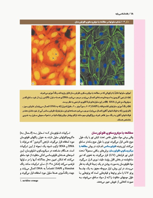 بافت‌شناسی پایه جان کوئیرا آنتونی مشر 2021