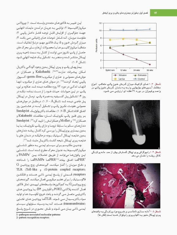 اصول و درمان اندودانتیکس ترابی‌نژاد 2021 همراه با فیلم آموزشی بصورت DVD