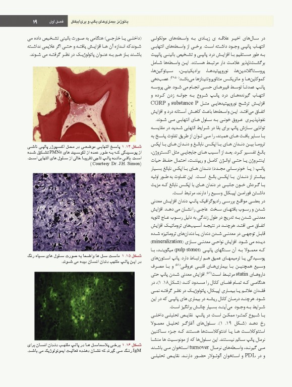 اصول و درمان اندودانتیکس ترابی‌نژاد 2021 همراه با فیلم آموزشی بصورت DVD