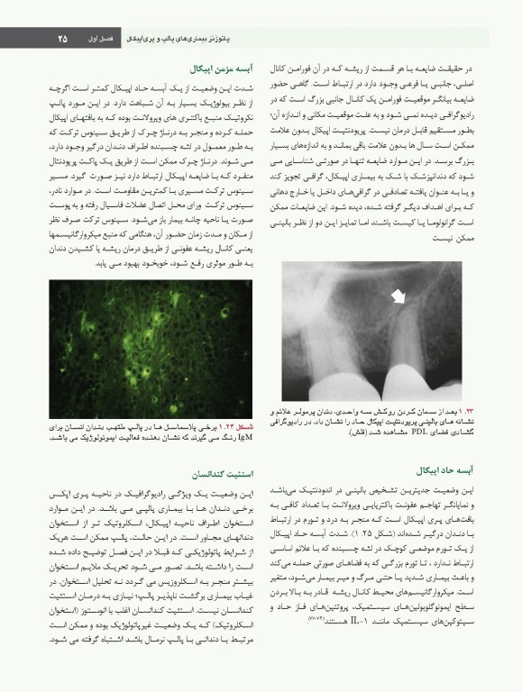 اصول و درمان اندودانتیکس ترابی‌نژاد 2021 همراه با فیلم آموزشی بصورت DVD