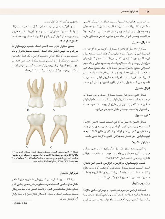 دندانپزشکی کودک و نوجوان مک دونالد 2022 جلد اول تمام رنگی