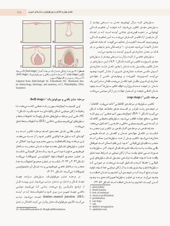 دندانپزشکی کودک و نوجوان مک دونالد 2022 جلد اول تمام رنگی