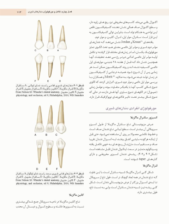 دندانپزشکی کودک و نوجوان مک دونالد 2022 جلد اول تمام رنگی