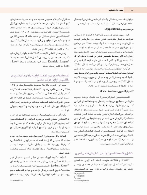 دندانپزشکی کودک و نوجوان مک دونالد 2022 جلد اول تمام رنگی