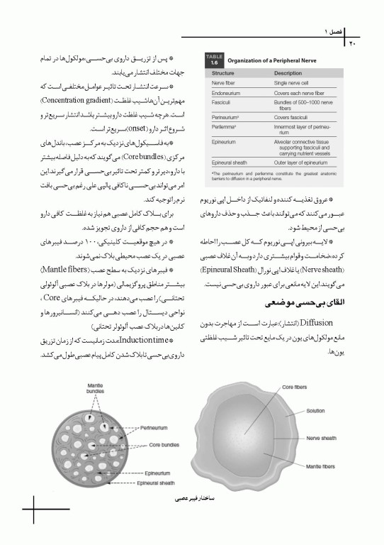 چکیده مراجع دندانپزشکی CDR بی حسی موضعی مالامد 2020