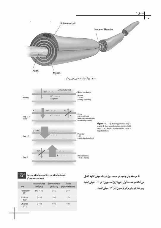 چکیده مراجع دندانپزشکی CDR بی حسی موضعی مالامد 2020