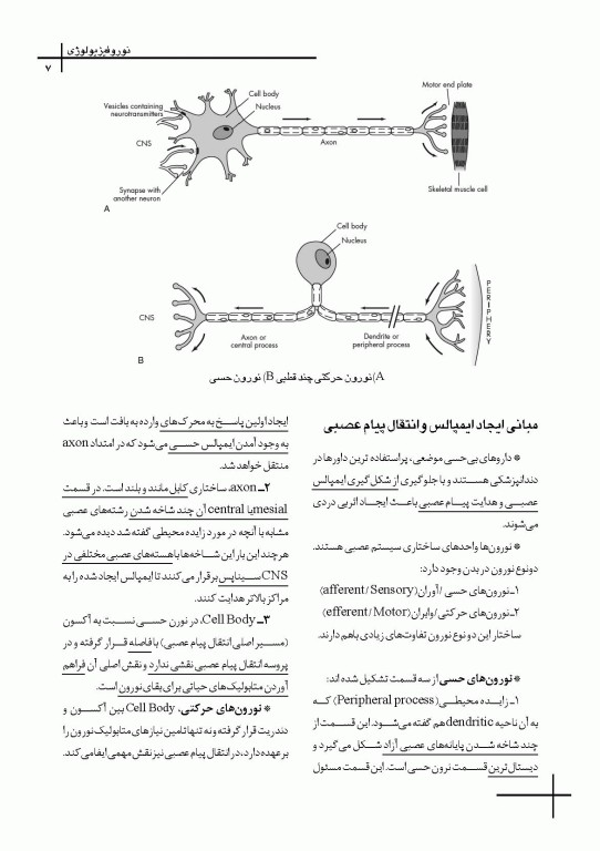 چکیده مراجع دندانپزشکی CDR بی حسی موضعی مالامد 2020