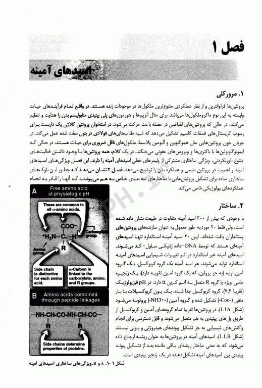 بیوشیمی لیپینکات 2022 حیدری