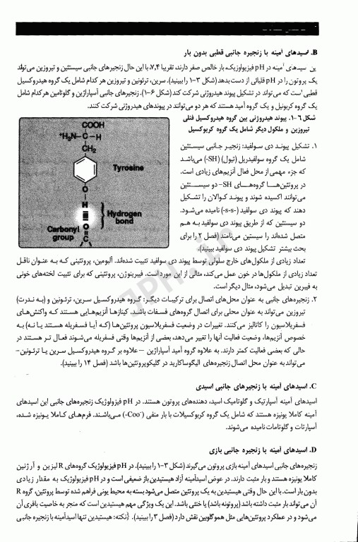 بیوشیمی لیپینکات 2022 حیدری