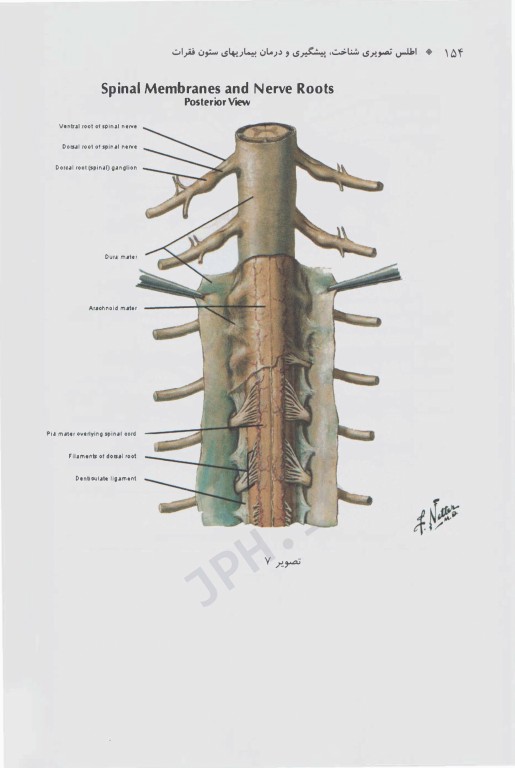اطلس تصویری شناخت، پیشگیری و درمان بیماری‌های ستون فقرات