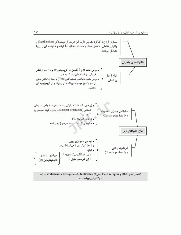 الگوریتم ژنتیک پزشکی