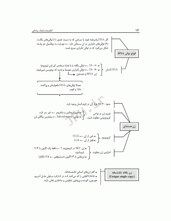 الگوریتم ژنتیک پزشکی