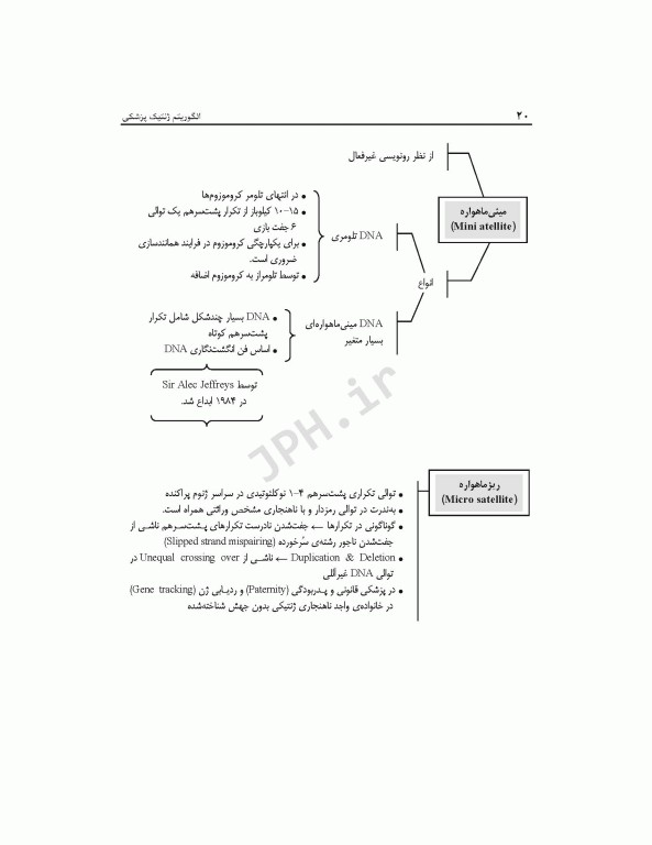 الگوریتم ژنتیک پزشکی