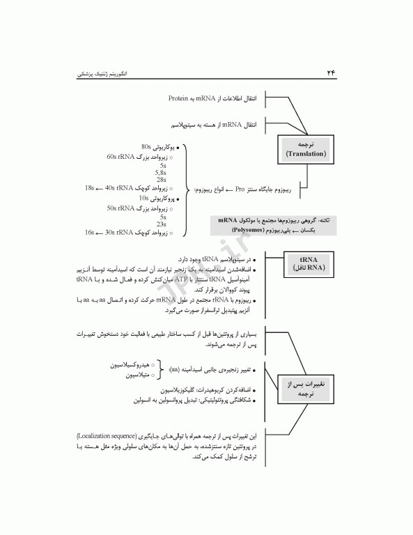 الگوریتم ژنتیک پزشکی