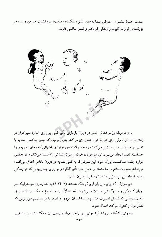 تغذیه در دوران بارداری دکتر مینو فروزانی