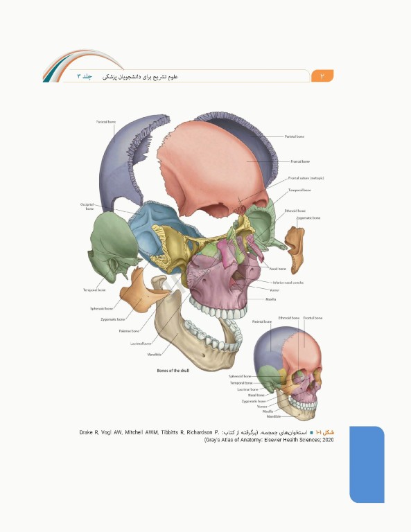 علوم تشریح برای دانشجویان پزشکی جلد3 سر و گردن