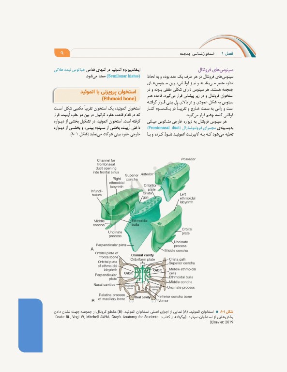 علوم تشریح برای دانشجویان پزشکی جلد3 سر و گردن