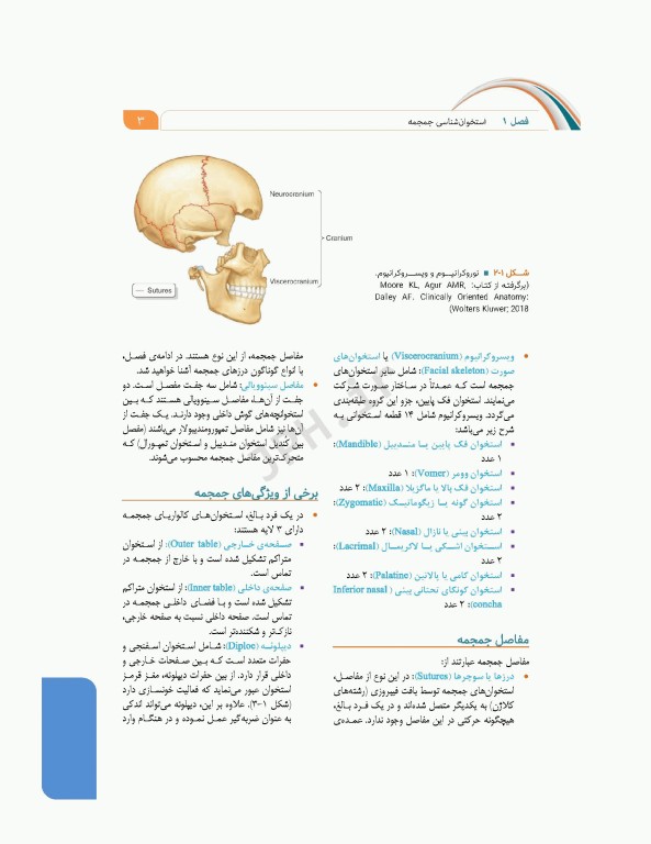 علوم تشریح برای دانشجویان پزشکی جلد3 سر و گردن