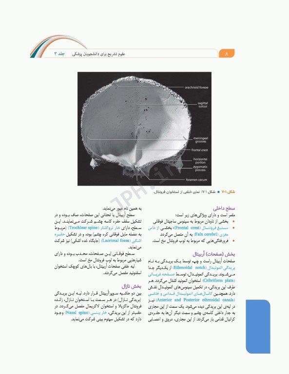 علوم تشریح برای دانشجویان پزشکی جلد3 سر و گردن