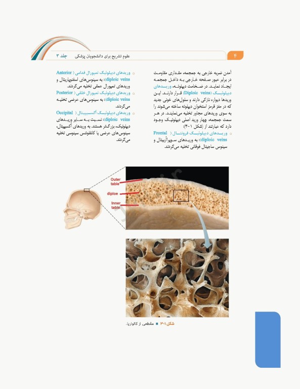 علوم تشریح برای دانشجویان پزشکی جلد3 سر و گردن