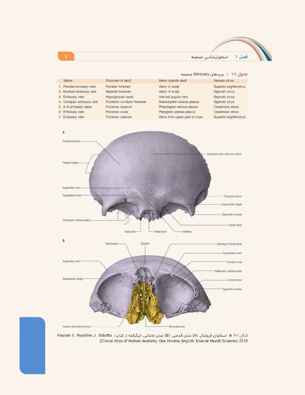علوم تشریح برای دانشجویان پزشکی جلد3 سر و گردن