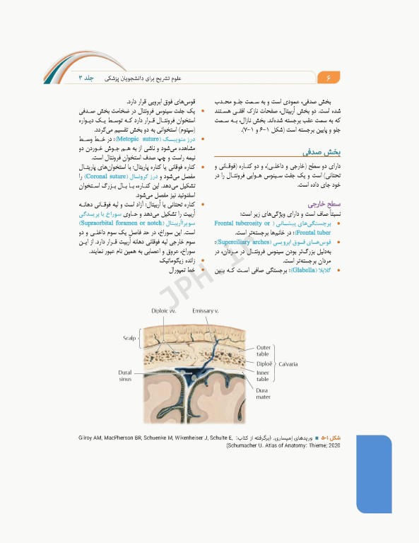 علوم تشریح برای دانشجویان پزشکی جلد3 سر و گردن
