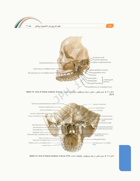 علوم تشریح برای دانشجویان پزشکی جلد3 سر و گردن
