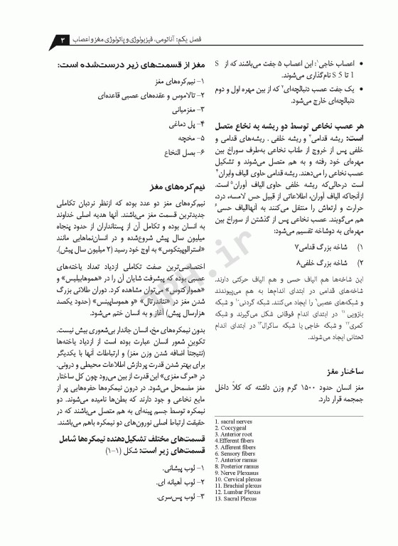 پرستاری از بیماران ضربه مغزی در خانه