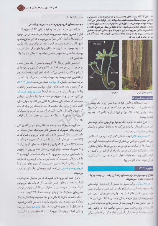 بیولوژی کمپبل 2021 جلد3 ژنتیک دکتر راهله جهانبانی