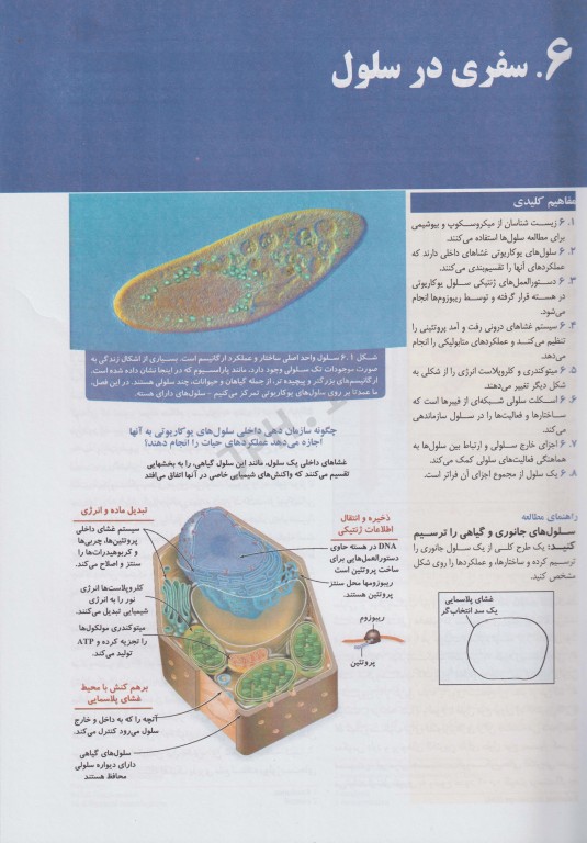 بیولوژی کمپبل 2021 جلد2 سلول دکتر راهله جهانبانی
