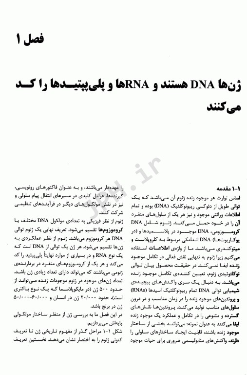 ژن 12 جلد اول